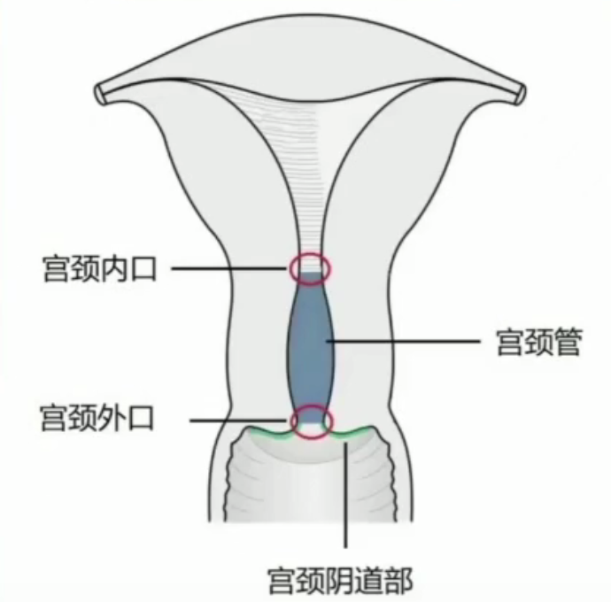 1681803039988407.png d6b5b26bb0abac3464bea930dd11bc2e.png