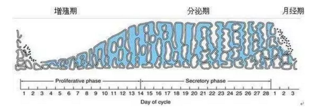 1696404249456685.png 307ecd98f8deba771e3044dd33c365e5.png